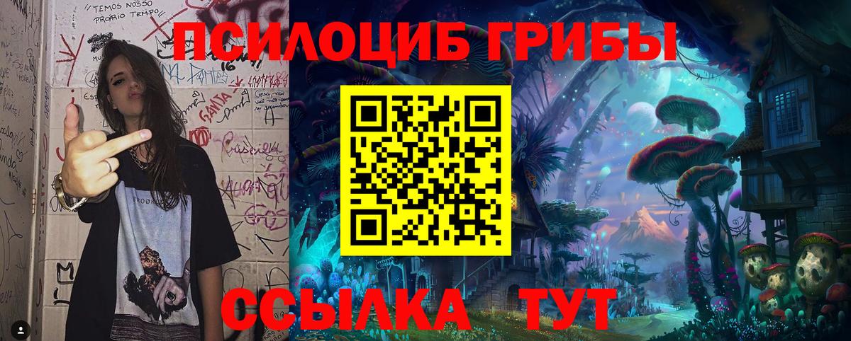 Псилоцибиновые грибы мухоморы Электрогорск
