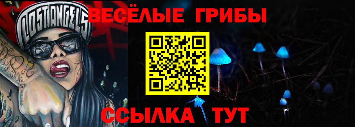 Электрогорск  Псилоцибиновые грибы Psilocybe  купить  сайты  Вход с VPN 
